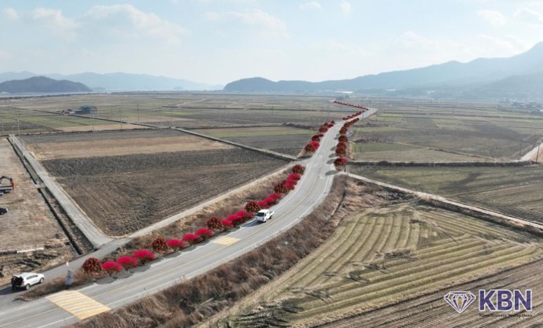 신규 가로수길 조성 조감도