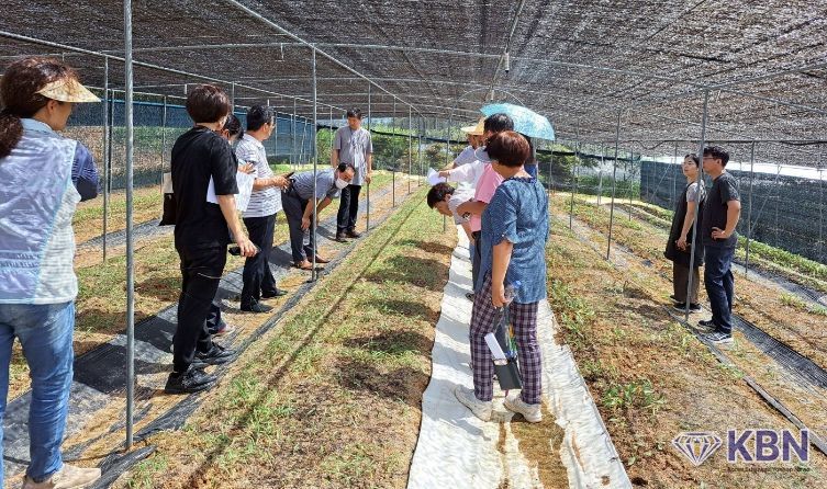 산약초 재배교육